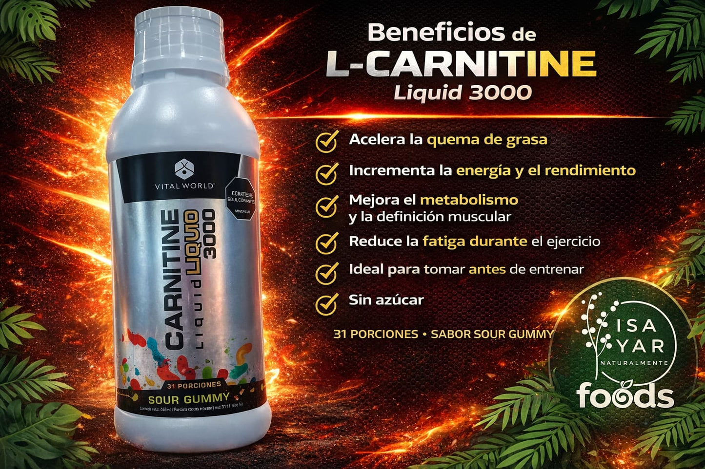 L-Carnitine Liquid 3000 - Vital World