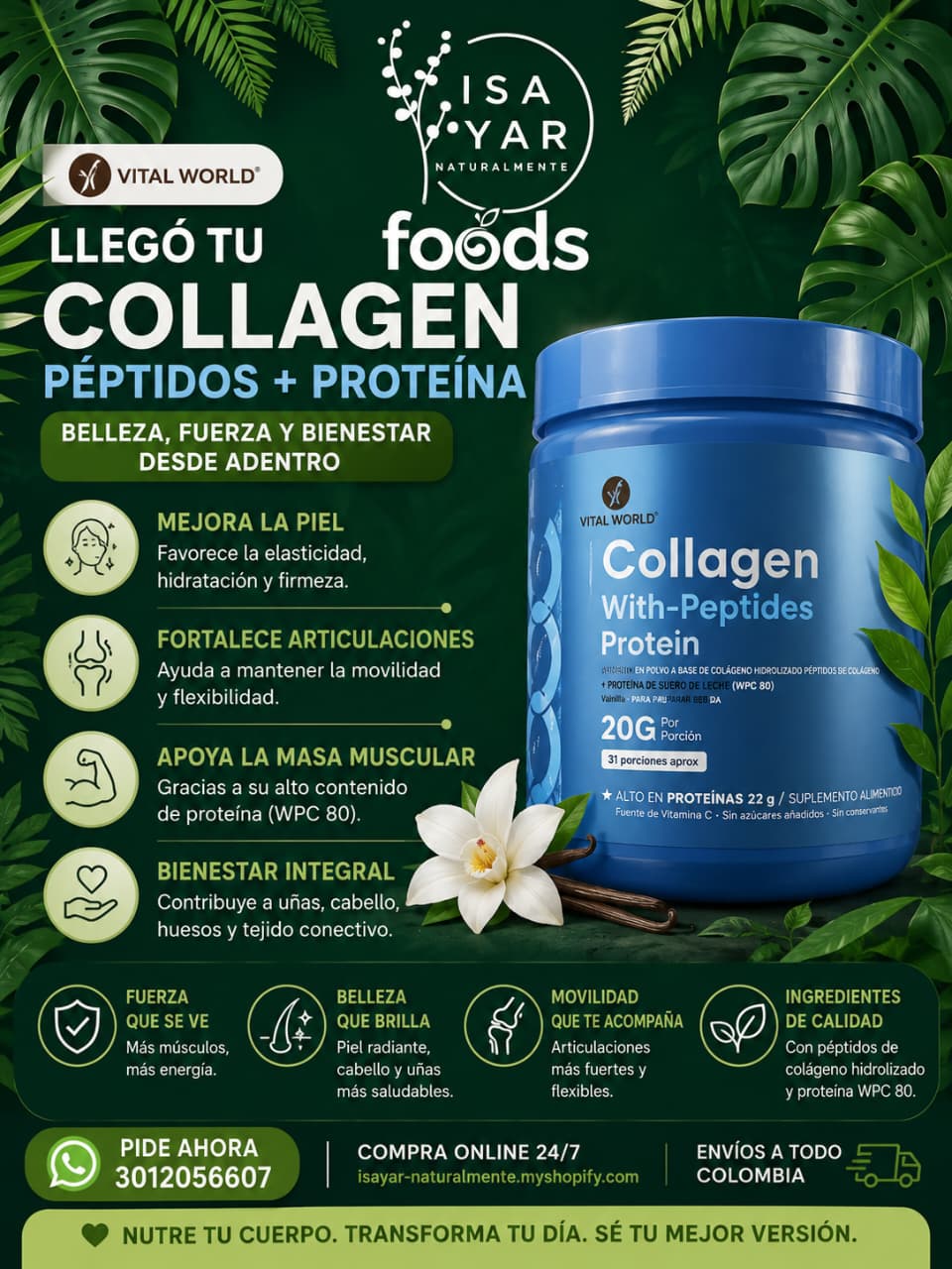 Vital World Collagen With-Peptides Protein Vainilla 20g por Porción 31 Porciones