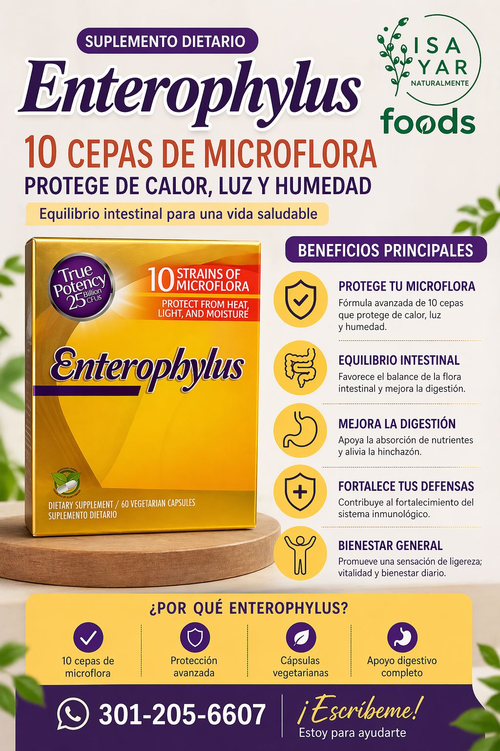 Enterophylus 10 Cepas de Microflora 25 Billion CFUs 60 Cápsulas Vegetarianas